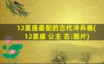 12星座最配的古代冷兵器(12星座 公主 古:图片)